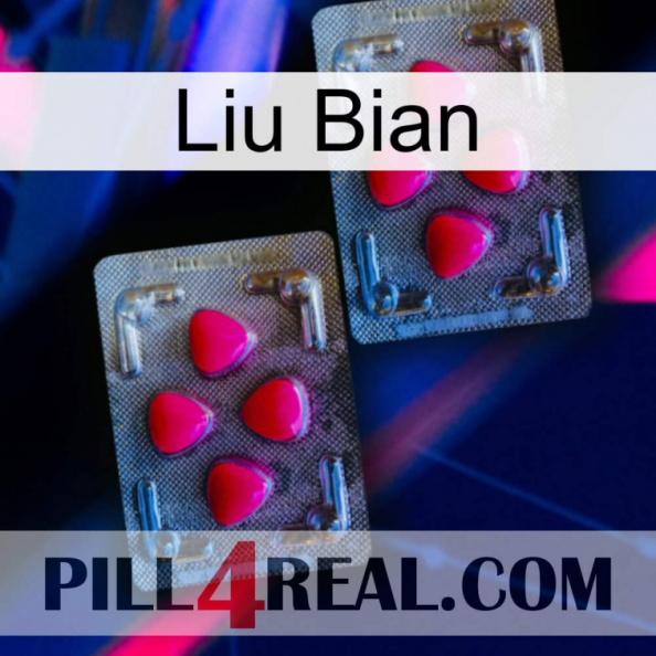 Liu Bian 14.jpg